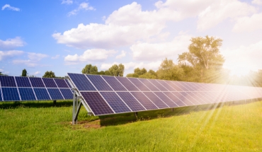 MAURIS NEQUE NISIIBUS NON ELEMENTUM