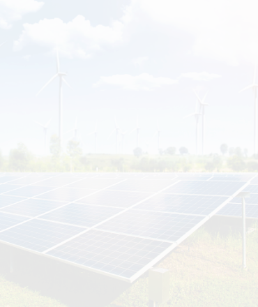 Quisque suscipit ipsum est, eu venenatis leo