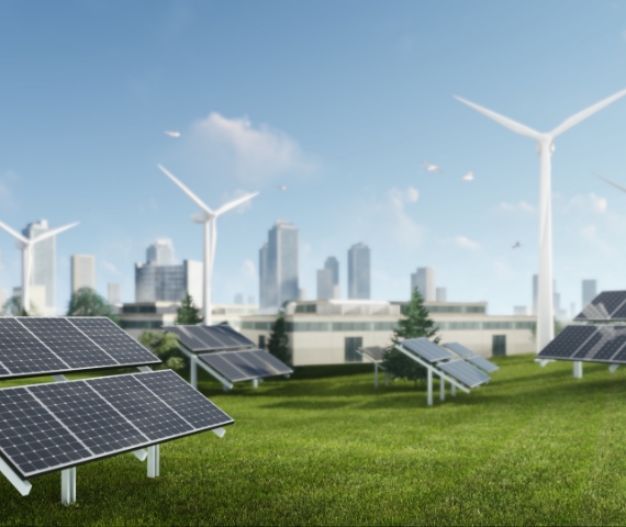 MAXIMUS LIBERO ORNARE 